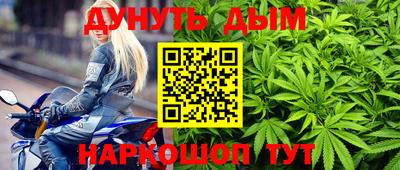 прущие крисы Шебекино