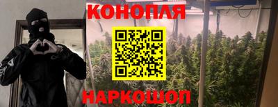 прущие крисы Шебекино